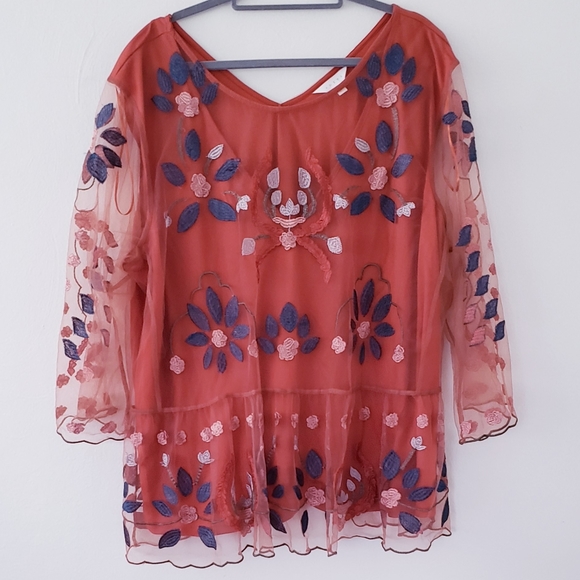 Adiva Tops - Adiva Rust ebroidered tunic 3X